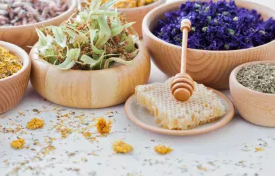 Plantes adaptogènes vs anxiolytiques : quelles différences ?
