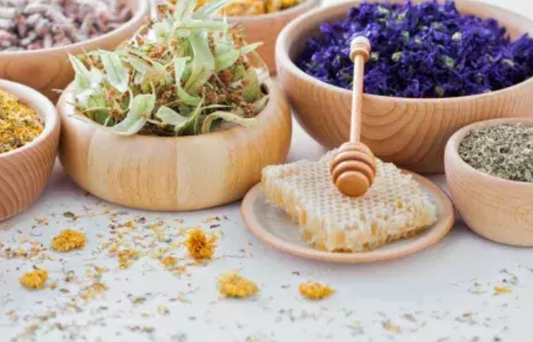 Plantes adaptogènes vs anxiolytiques : quelles différences ?